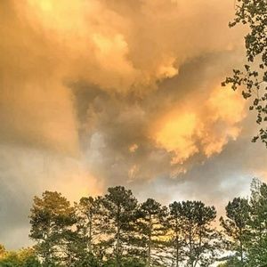 Meet your Posher, Ava